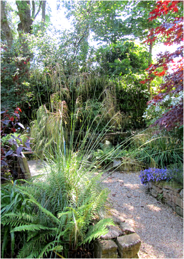 Linden Garden
